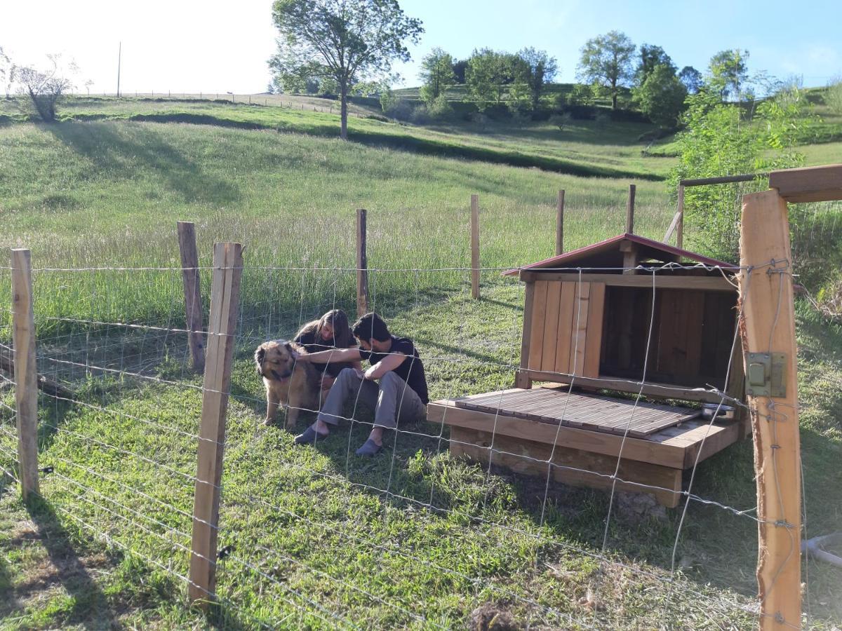 Eguzkitze Alojamiento Rural Lss00085 Abaltzisketa Exterior photo