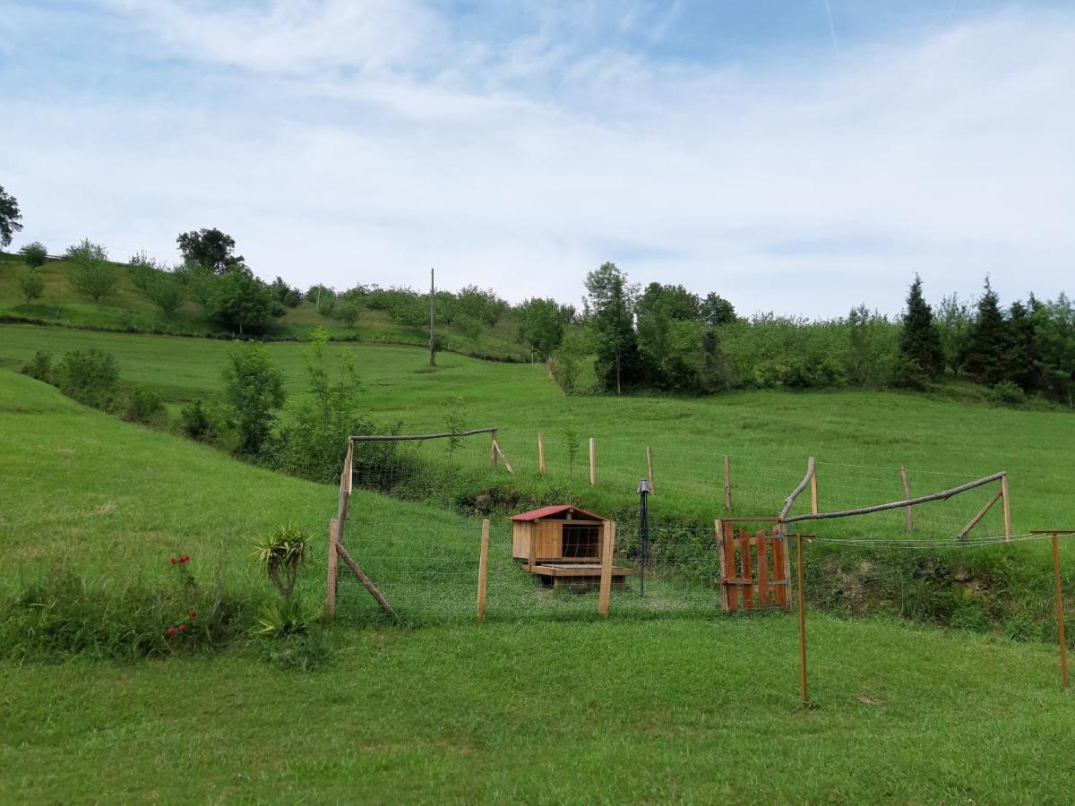 Eguzkitze Alojamiento Rural Lss00085 Abaltzisketa Exterior photo